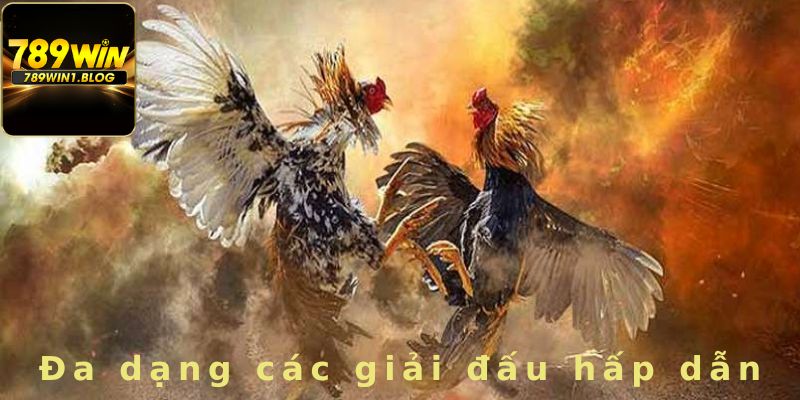 Sảnh cược phát triển đa dạng các hình thức thi đấu khác nhau